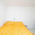 Apartments Aurelia