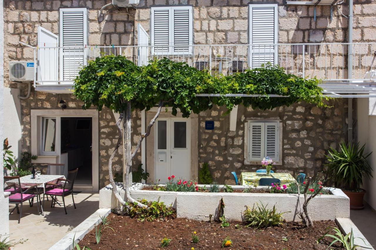 Aurelia 3*
